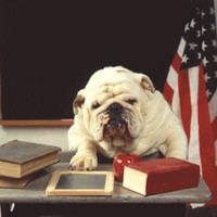 UGA Student Sample Education