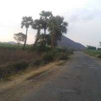 S D Prasanth Reddy Janga