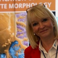 Prof. Dr. Nicole Endlich