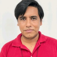 Alex Sonny Mendizabal Alvarez