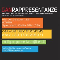 Angelo Guido GANrappresentanze