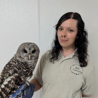 Emma Grace Deily-Swearingen