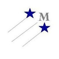 millenium foundation