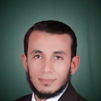 م/ الشحات فياض