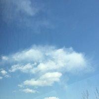 余梦晨