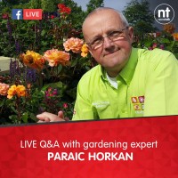 Paraic Horkan