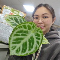何宜真
