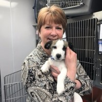 Sharon Caldwell-Newton