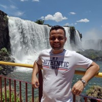 LUIZ FERNANDO PEREIRA BORGES