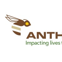 Anthophila Investment
