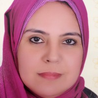Anan Hussein