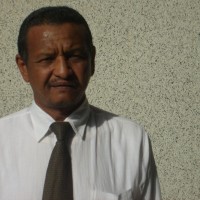 Osman ElHassan