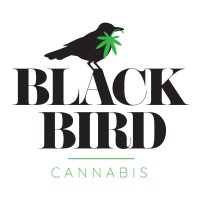 Black Bird