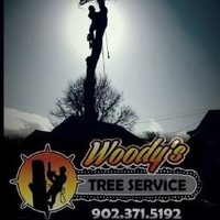 woody Mcneil