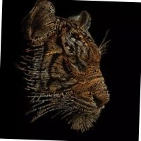 Tharun Pranav
