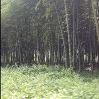 刘先富