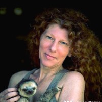 Cathy Galliègue