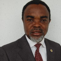 EMMANUEL OLAJIDE JEGEDE  fiim, fica, fpam, mcib, mba
