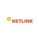 netlink business systems pvt ltd