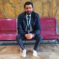 Mahmoud Elfiqy