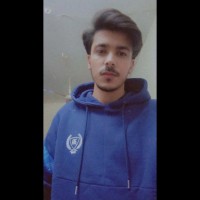 Syed Areeb