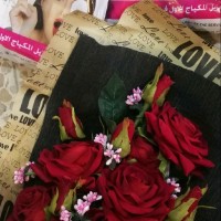 سنابل محسن محمدعلي