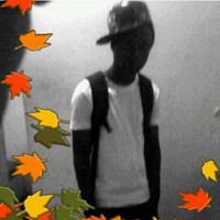 lingxy dylan