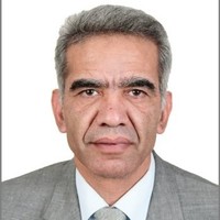 Ahmed Kamel, PMP