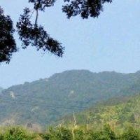 黄朝鹏