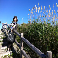 somsri junhasavasdiku