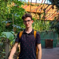 Damian Rapacki