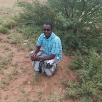 Suleiman Jama Ahmed