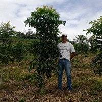 Alessandro de M. B. Ribeiro