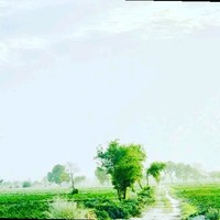 Muhammad Saqib Gulzar