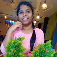 V Pallavi