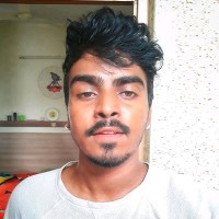 Harish Narayan