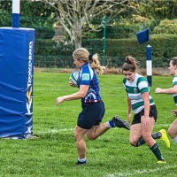 Sarah Hargreaves