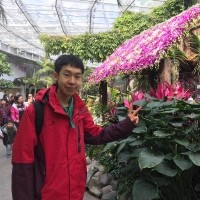 Yihan He