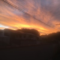 Reginaldo Miguel