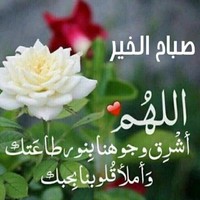 Ahmadarnaaout arnaout