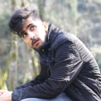 Mojtabaa H.N.