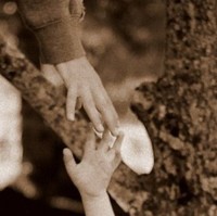 Terry Edelmann Integrated Interventions LLC.