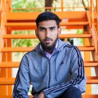 Muhammad Hamiz Habib