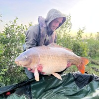 Freddy De Jonge