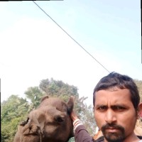 Srikant Kumar