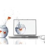 EXONICS IT SOLUTIONS DAVANGERE