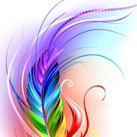Anil Kumar H