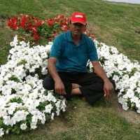 Narayan Kathat