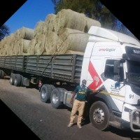 Lesiba Johannes Oupa Molekoa
