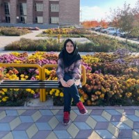 Shabnam Hajian